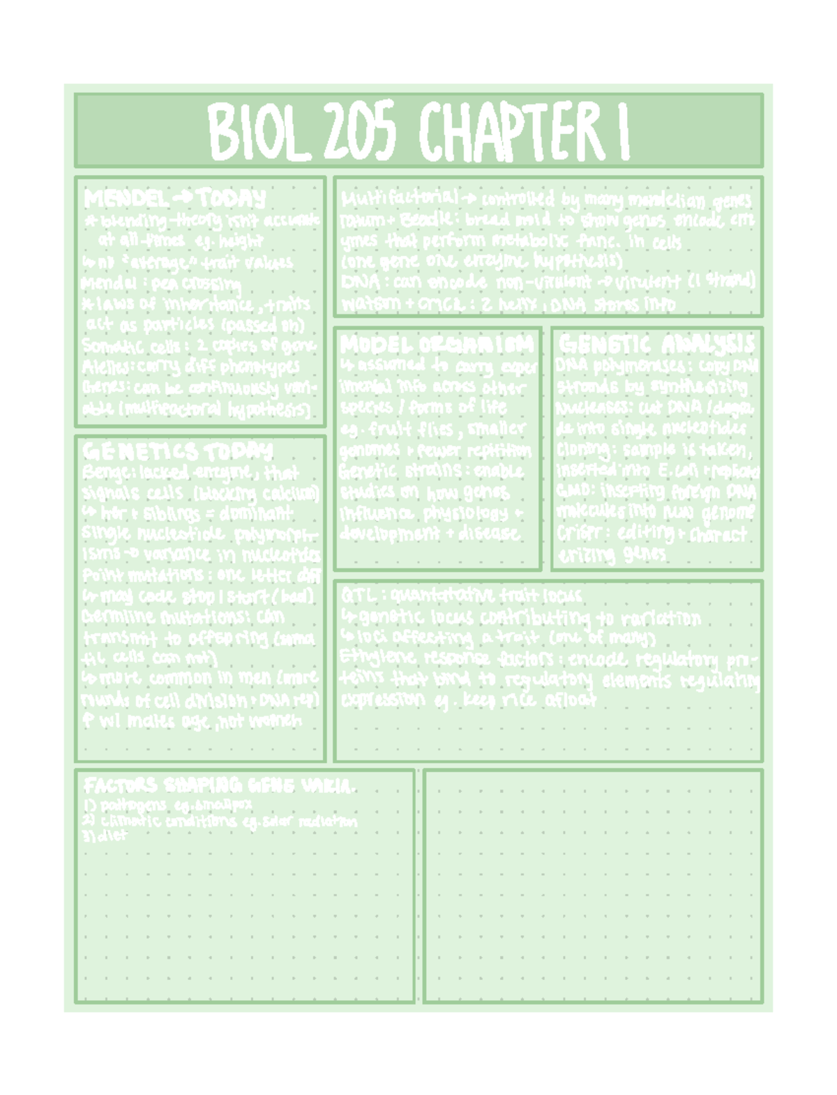 BIOL205 Chapter 2 summary - BIOL 205 CHAPTER I MENDEL 0 TODAY ...
