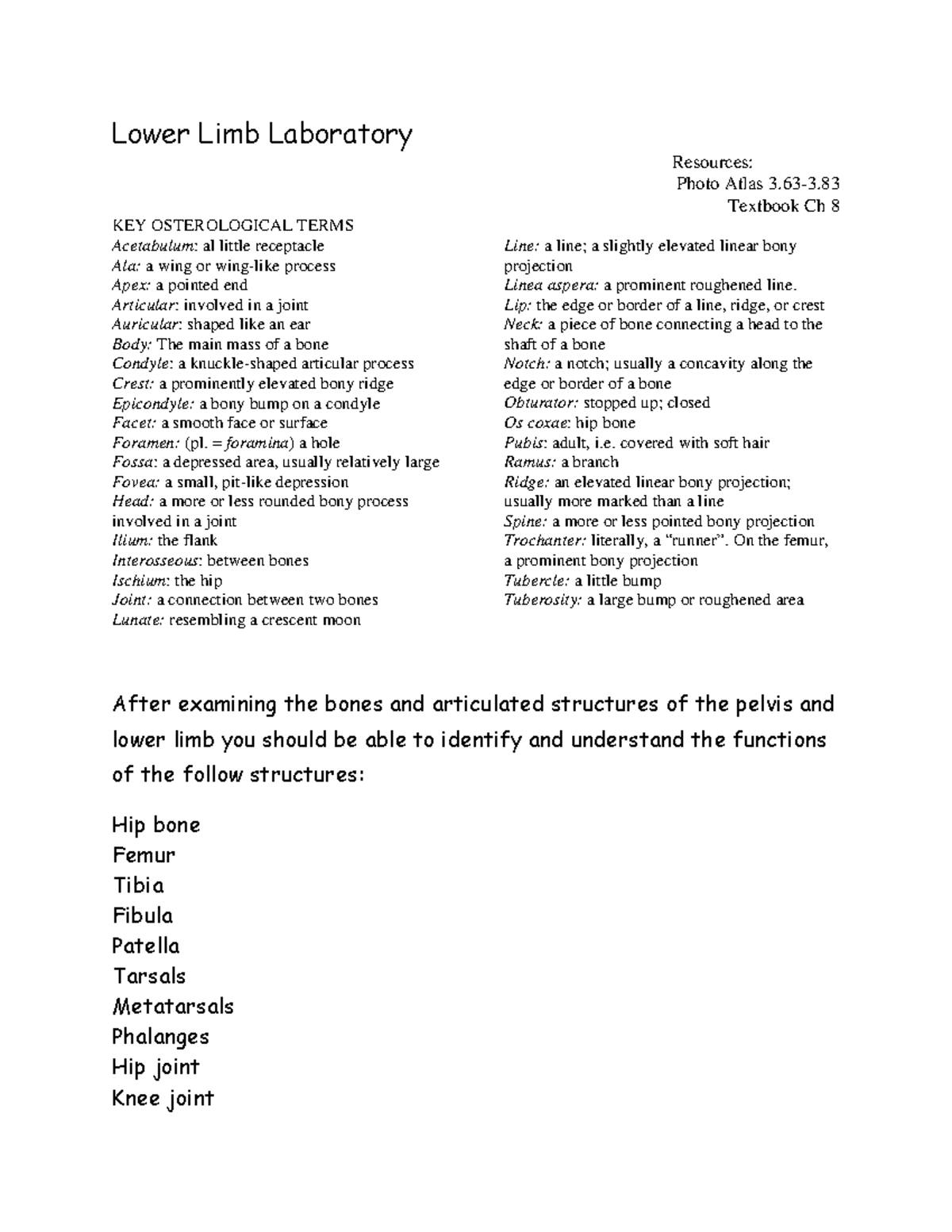 A25 Lower Limb Laboratory 1 - Lower Limb Laboratory Resources: Photo ...