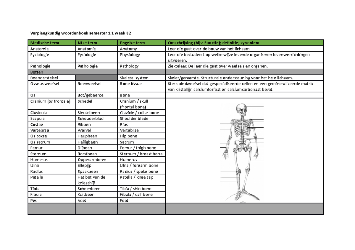 M MB 1.1 02 Medische Terminologie En Basale Anatomie Weefsels ...