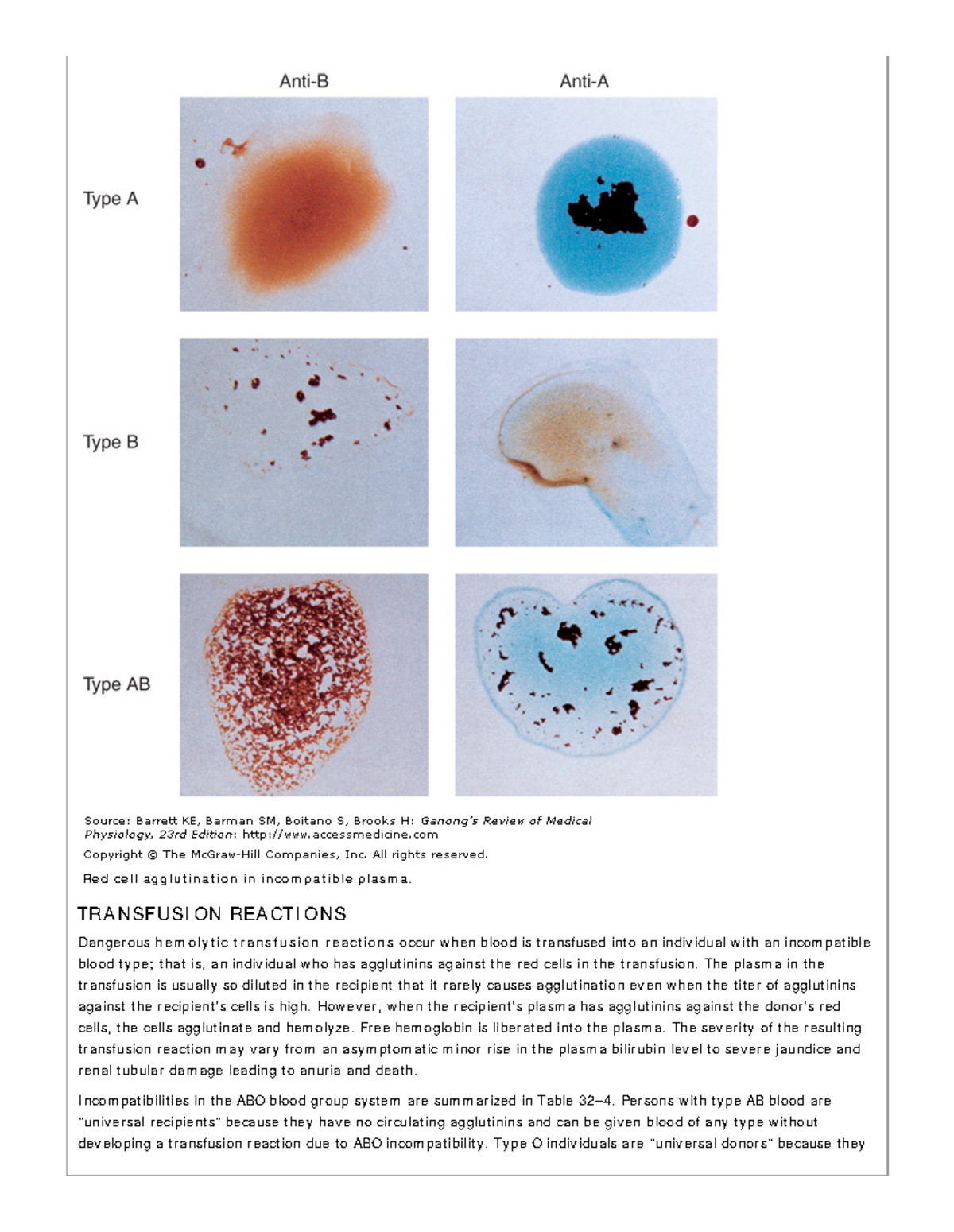 Review amerika of Medical Physiology -551-700-75 - Red cell agglut inat ...