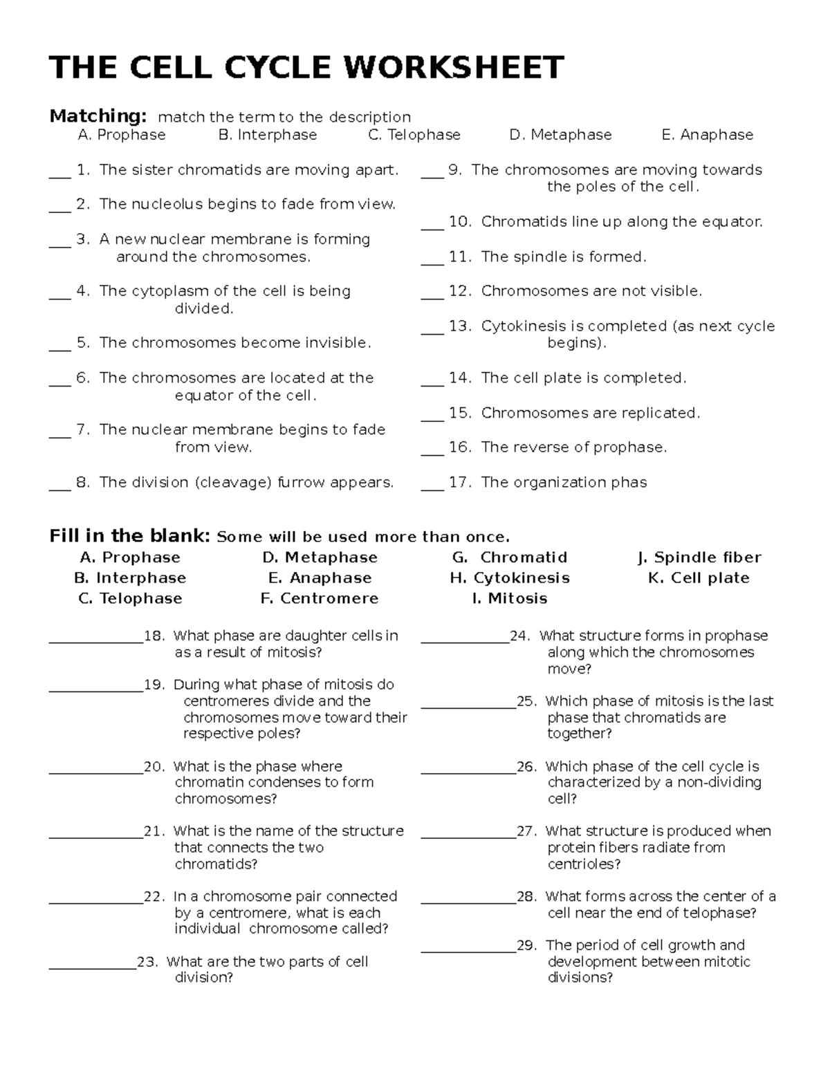 the-cell-cycle-worksheet-the-cell-cycle-worksheet-matching-match-the