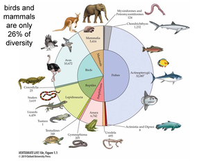 Zoology cheat sheet (Autosaved) (Autosaved) - Week 1: Axial = along the ...