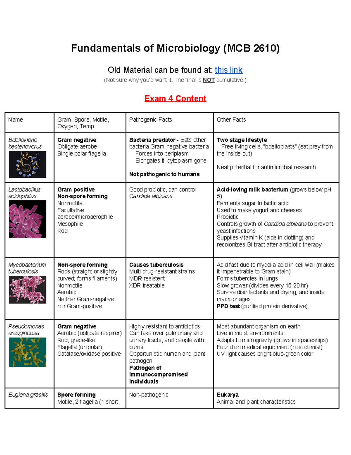 Summary - Lecture - Study Guide For Final Exam - Fundamentals Of ...