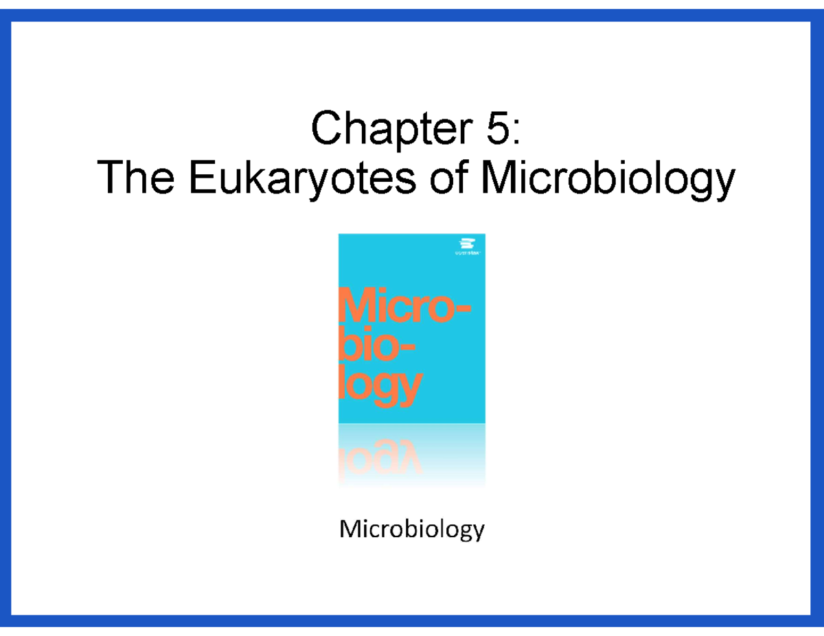 UNIT 5 Eukaryote CELL Microbio - Chapter 5: The Eukaryotes Of ...