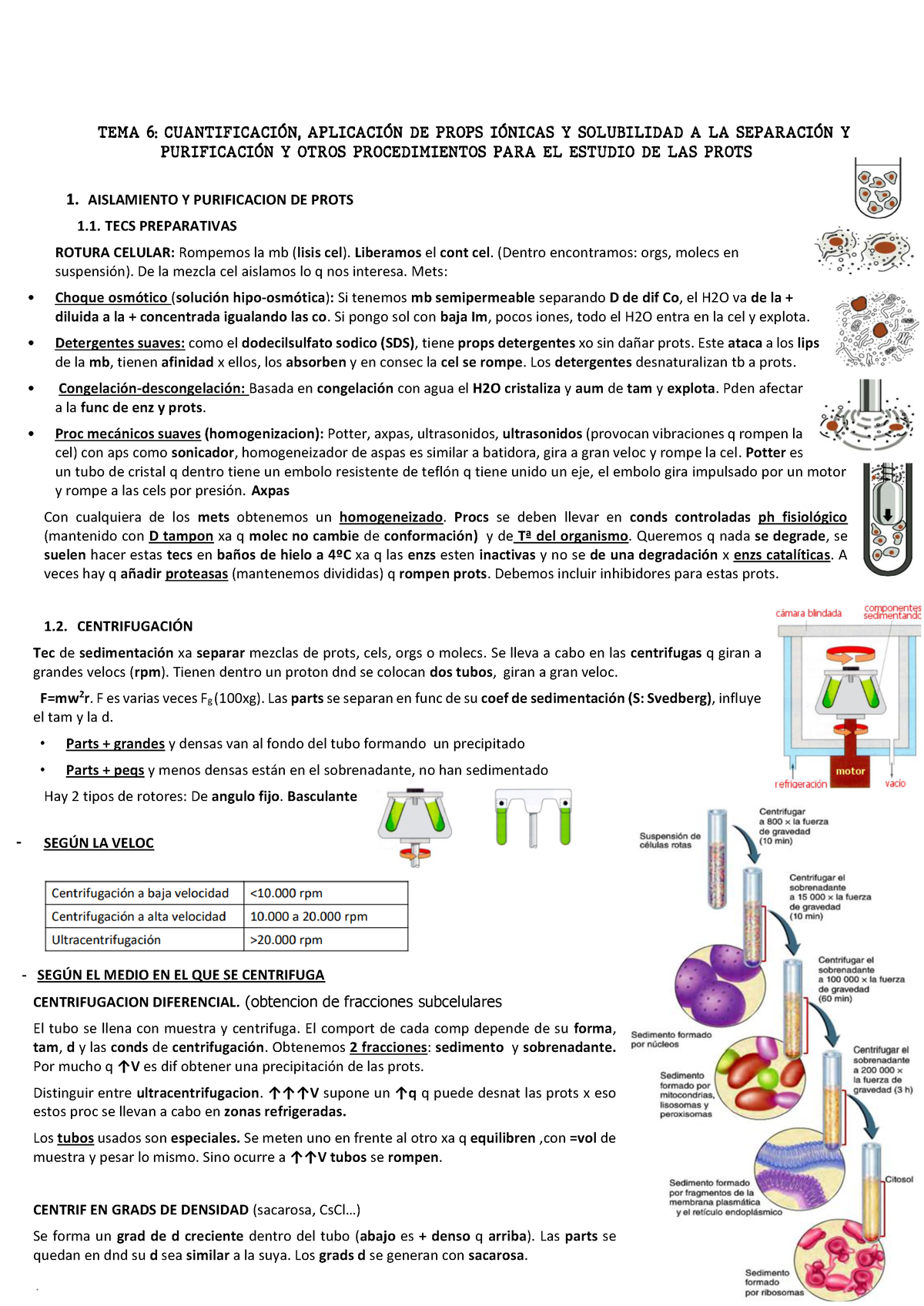Bq Tema 6 Resumen Del Tema 6 De Bioquimica Y Biologia Molecular I De