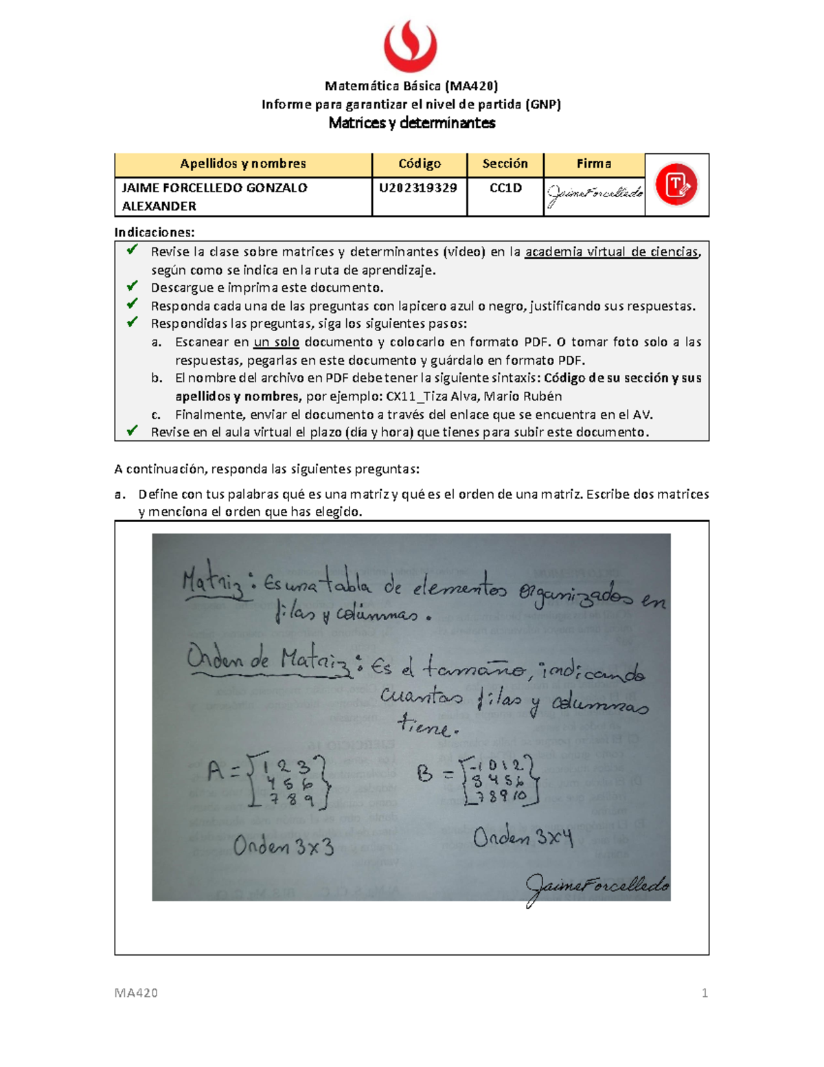 CC1D - Matemática Básica - Matemática Básica (MA420) Informe Para ...