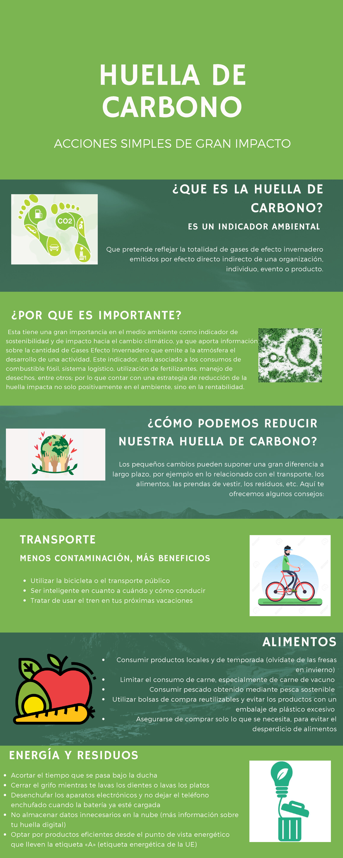 Verde Infografía sobre Cambio Climático - HUELLA DE CARBONO ACCIONES ...