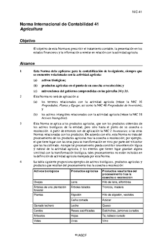 Balance General DOS Formas - contabilidad financiera - FORMA DE REPORTE ...