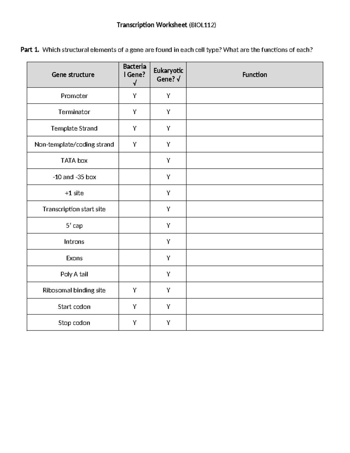 8-Gene Structure 2024 - BIOL 112 - Transcription Worksheet (BIOL112 ...