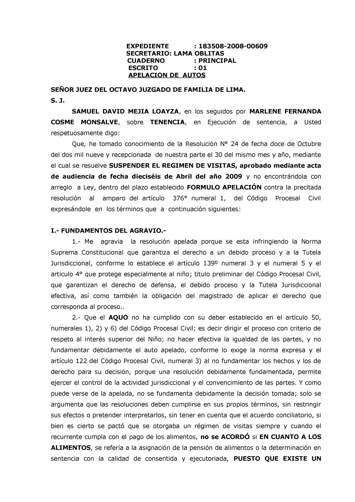 Apelación DE Autos- Tenencia Samuel Mejia - EXPEDIENTE : 183508-2008 ...