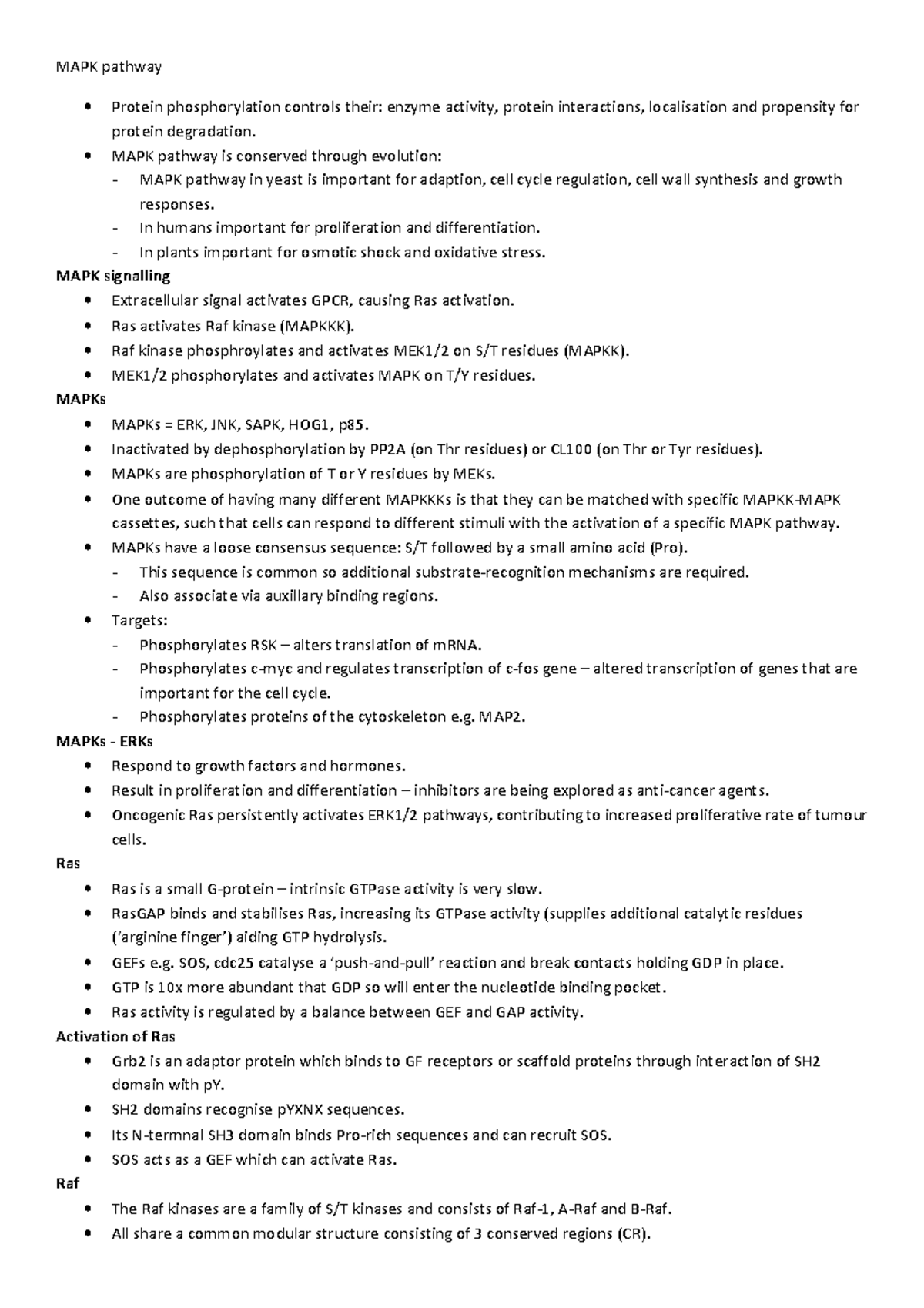 Revision Notes Cell Signaling (E): MAPK pathway - MAPK pathway Protein ...