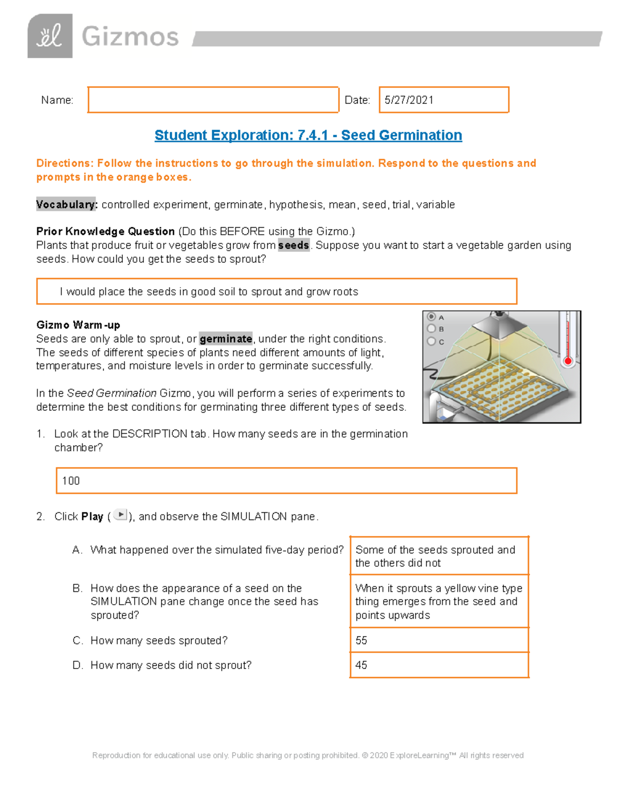 Copy Of 7 4 1 Seed Germination Gizmo Name Date 5 27 Student 