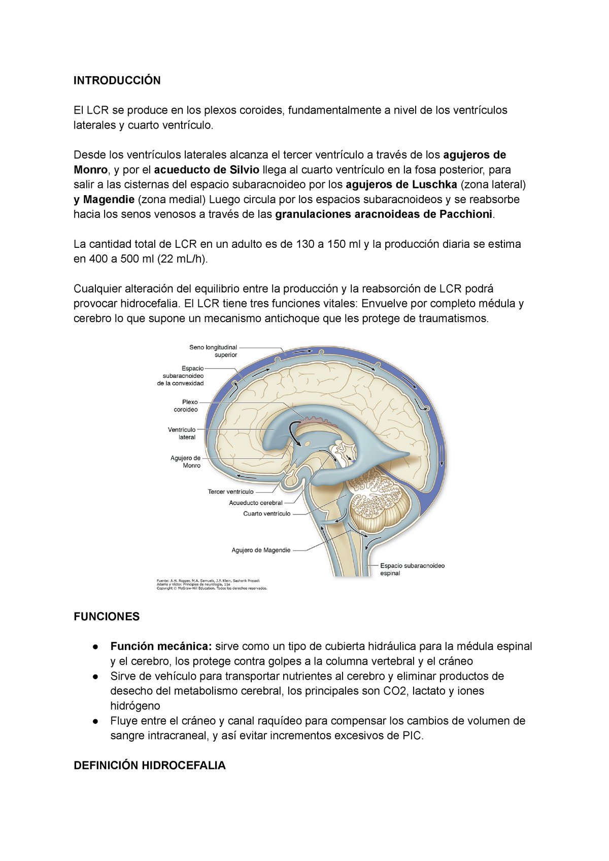 Resumen De Artículos Sobre Hidrocefalia IntroducciÓn El Lcr Se Produce En Los Plexos Coroides 4035