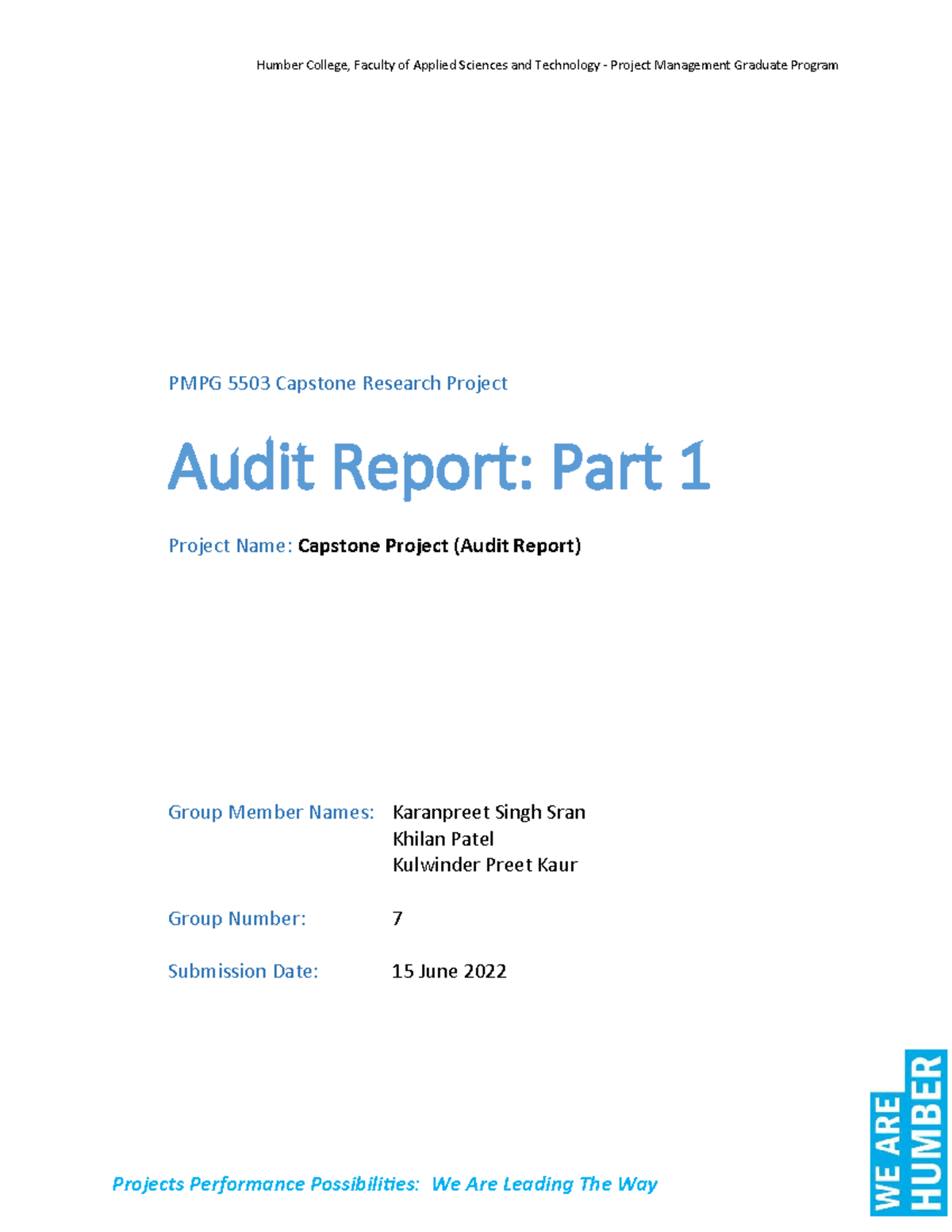 Audit Report Part 1 Group 7 RNB - PMPG 5503 Capstone Research Project ...