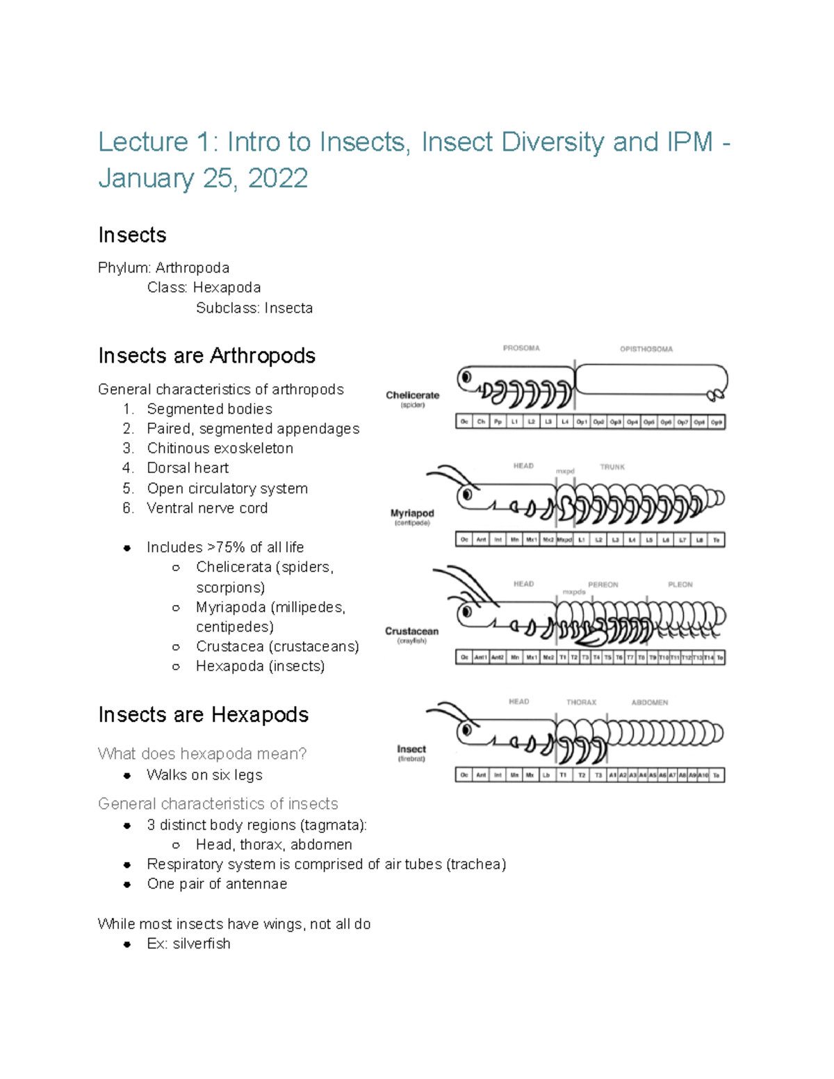 ENTM 3170   Lecture Notes And Diagrams   Lecture 1: Intro To Insects