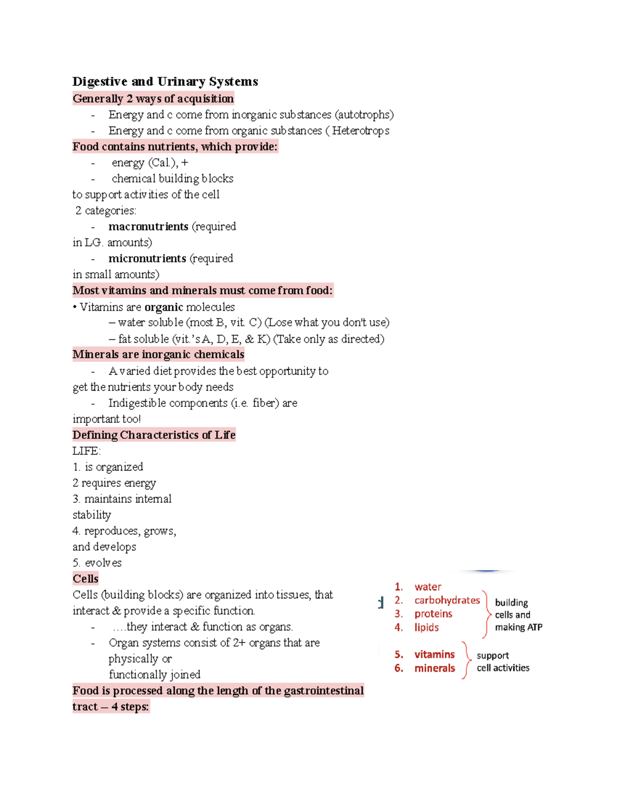 Bio Ch 28 Notes - Digestive And Urinary Systems Generally 2 Ways Of ...