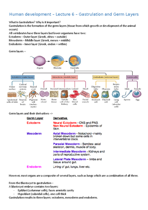 Human Development, Organogenesis and Anatomy Lecture 4 - Human ...