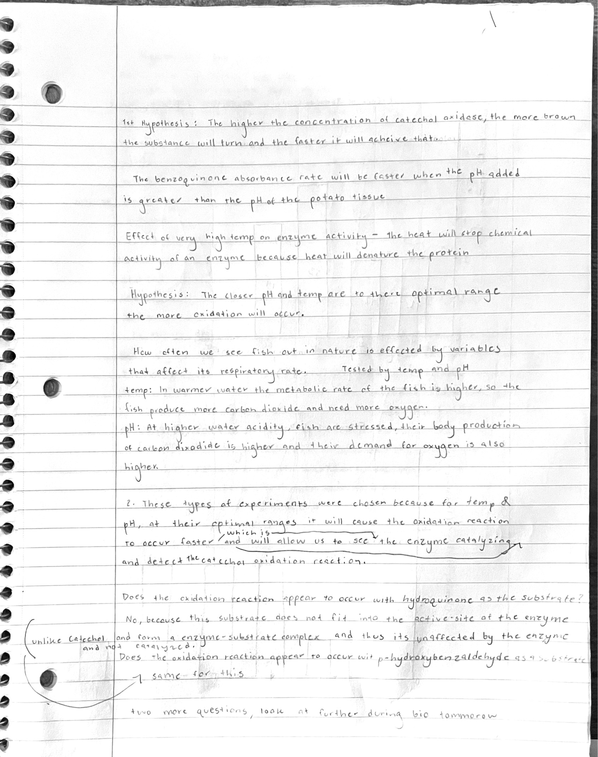 Lab 5 6 Lab notes with hypothesis and any supporting data BIOL