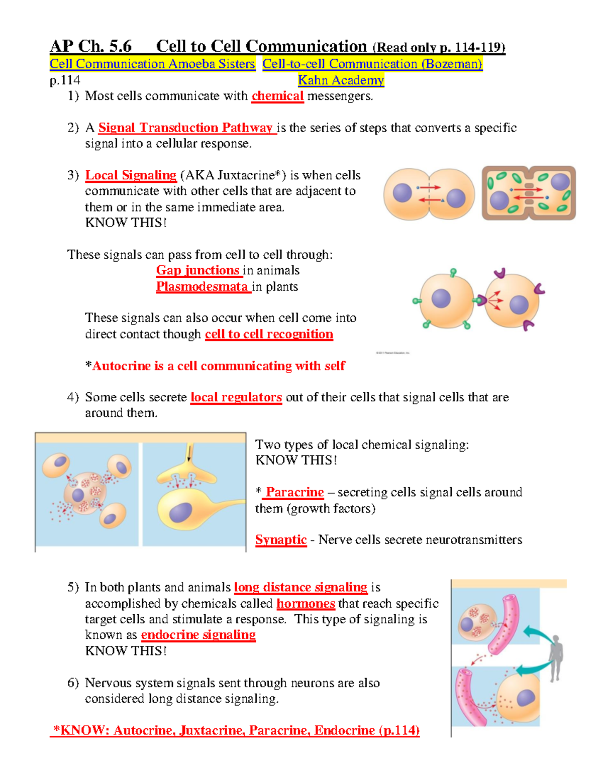 ch-5-6-cell-to-cell-communication-2020-key-ap-ch-5-cell-to-cell