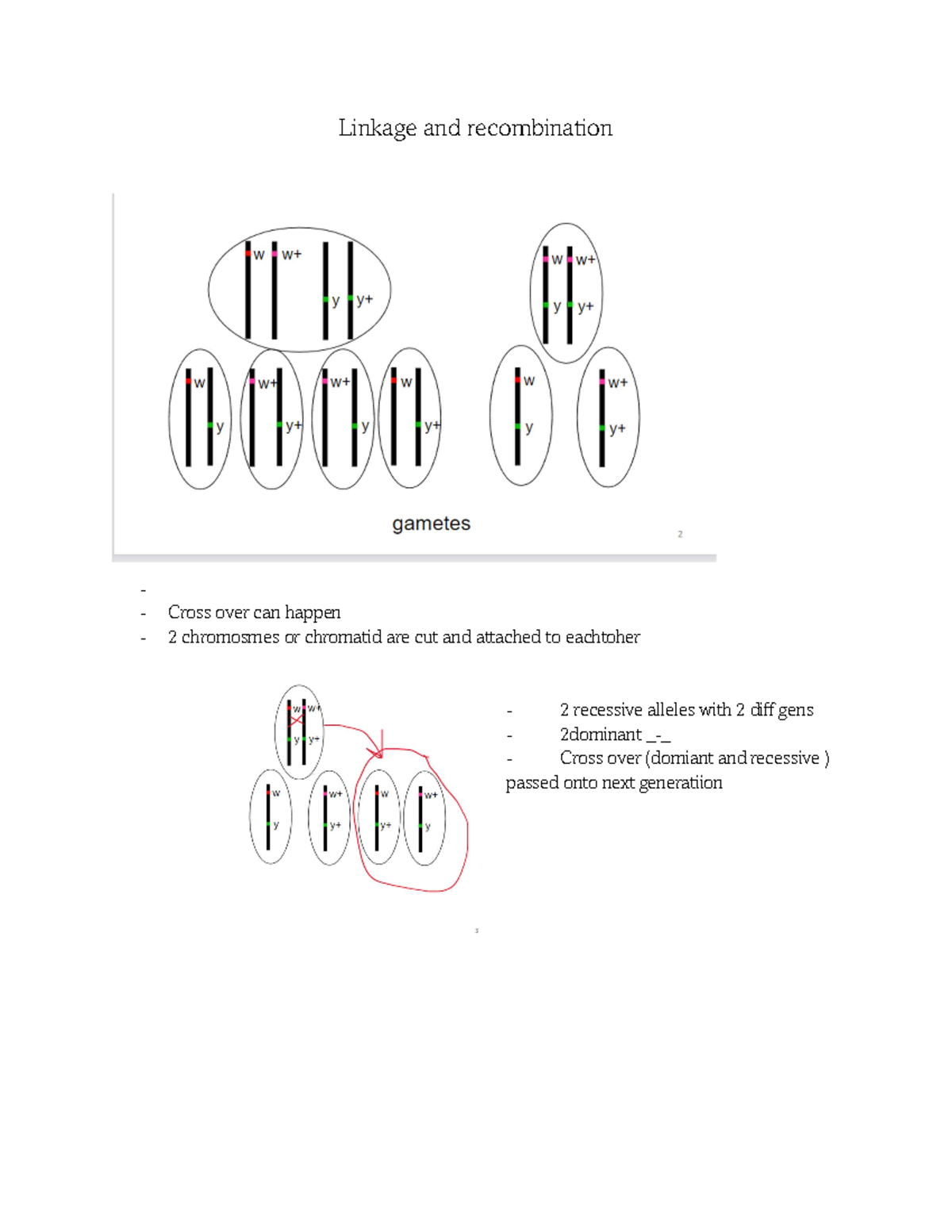 Learning Linkages IN Biology - Linkage and recombination - Cross over ...