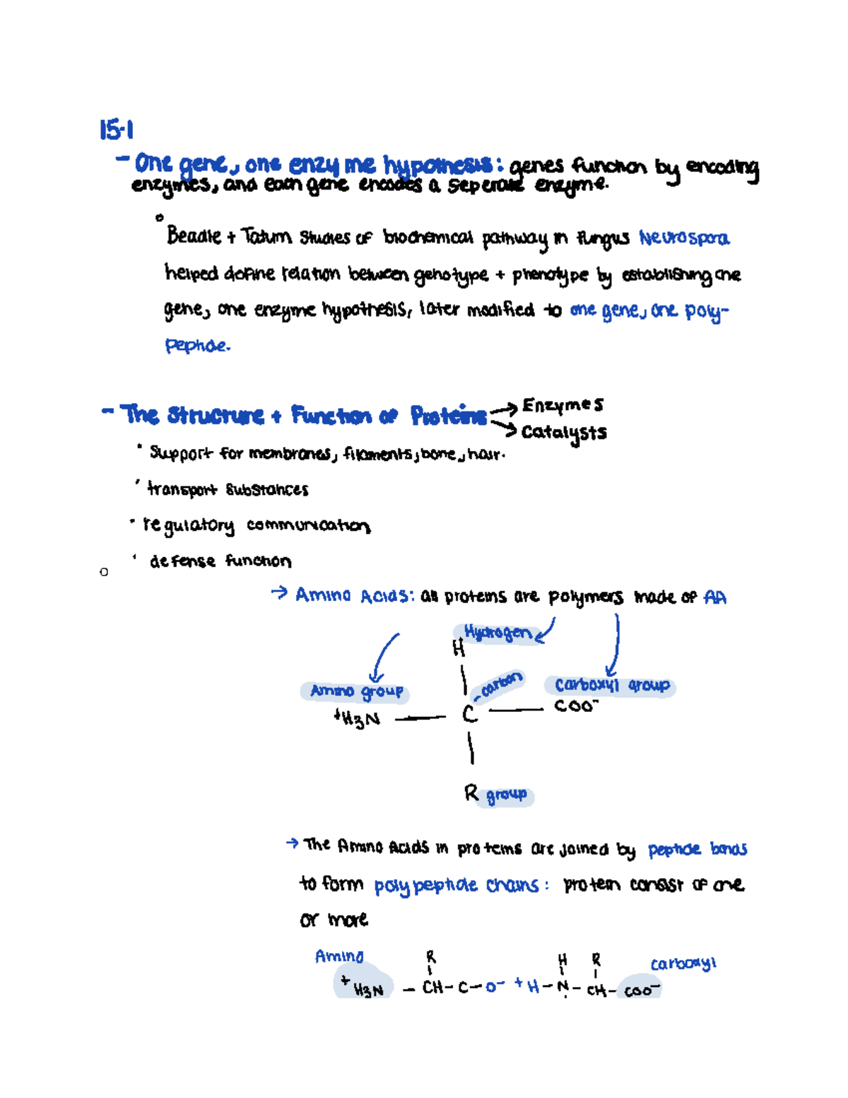 Chapter 15-The Genetic CODE & TRANSLATION - O 15 I One gene one enzyme ...
