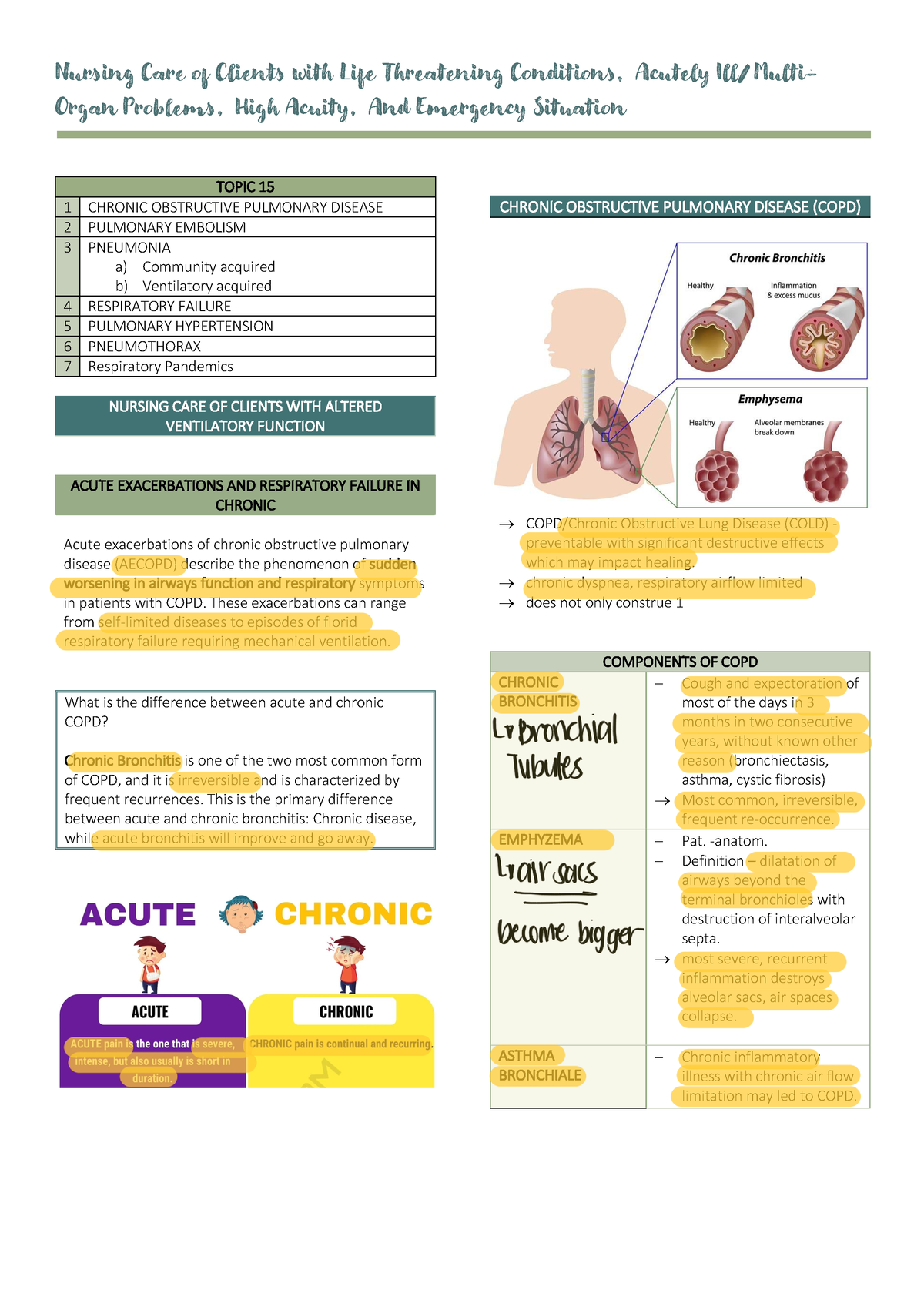 Critical Care Unit Notes 2 Nursing Care Of Clients With Life 