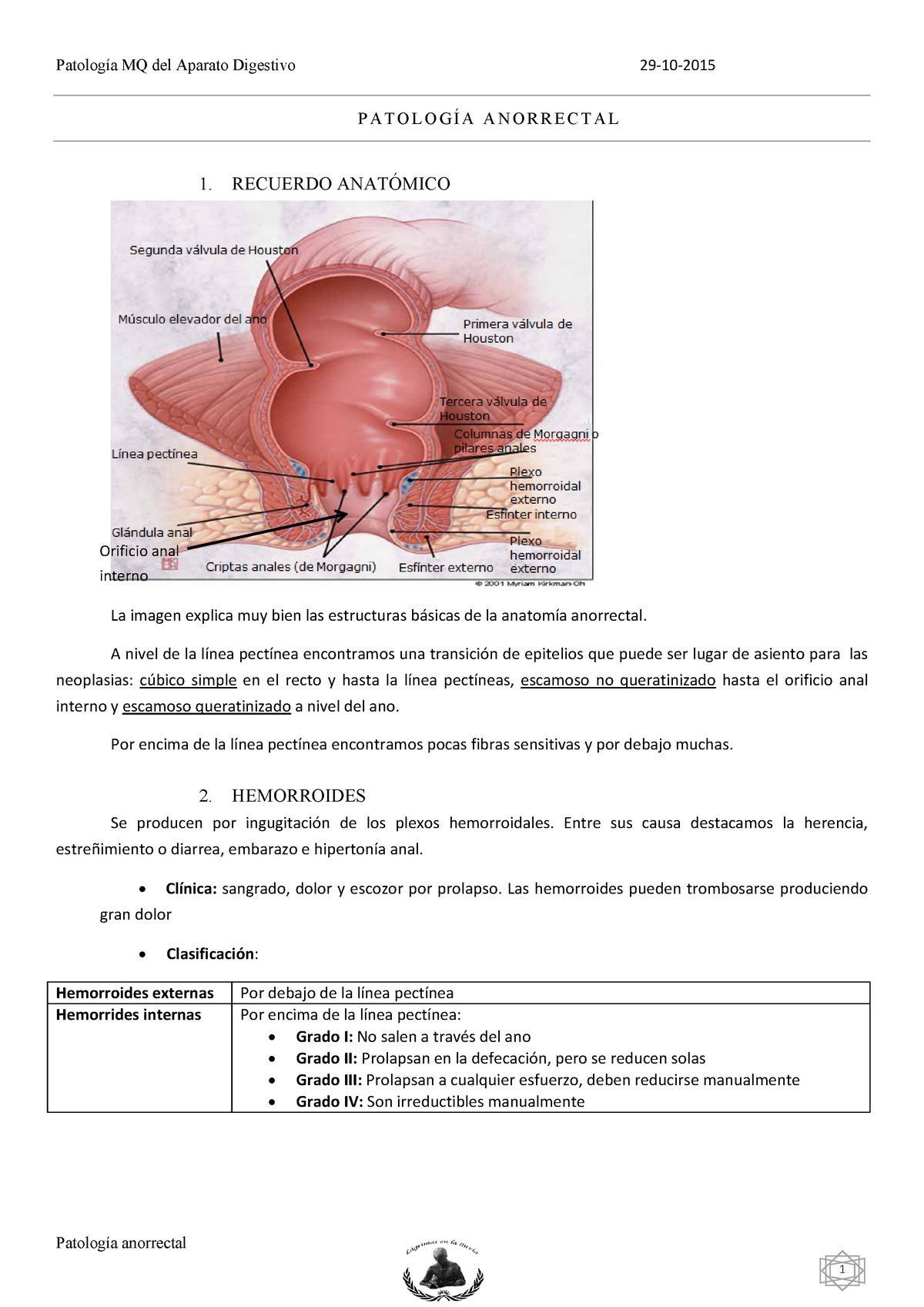 PMQAD-13- Patología Anorrectal - MQ Del Aparato Imagen Explica Muy Bien ...