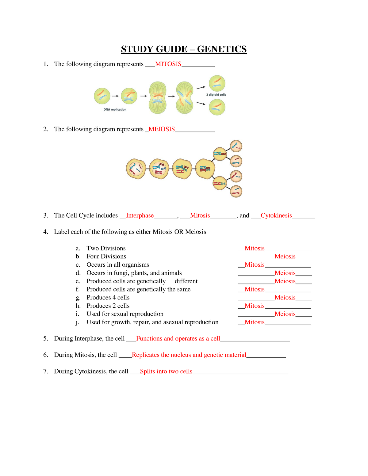 Study Guide - Genetics Answer Key - STUDY GUIDE – GENETICS The ...