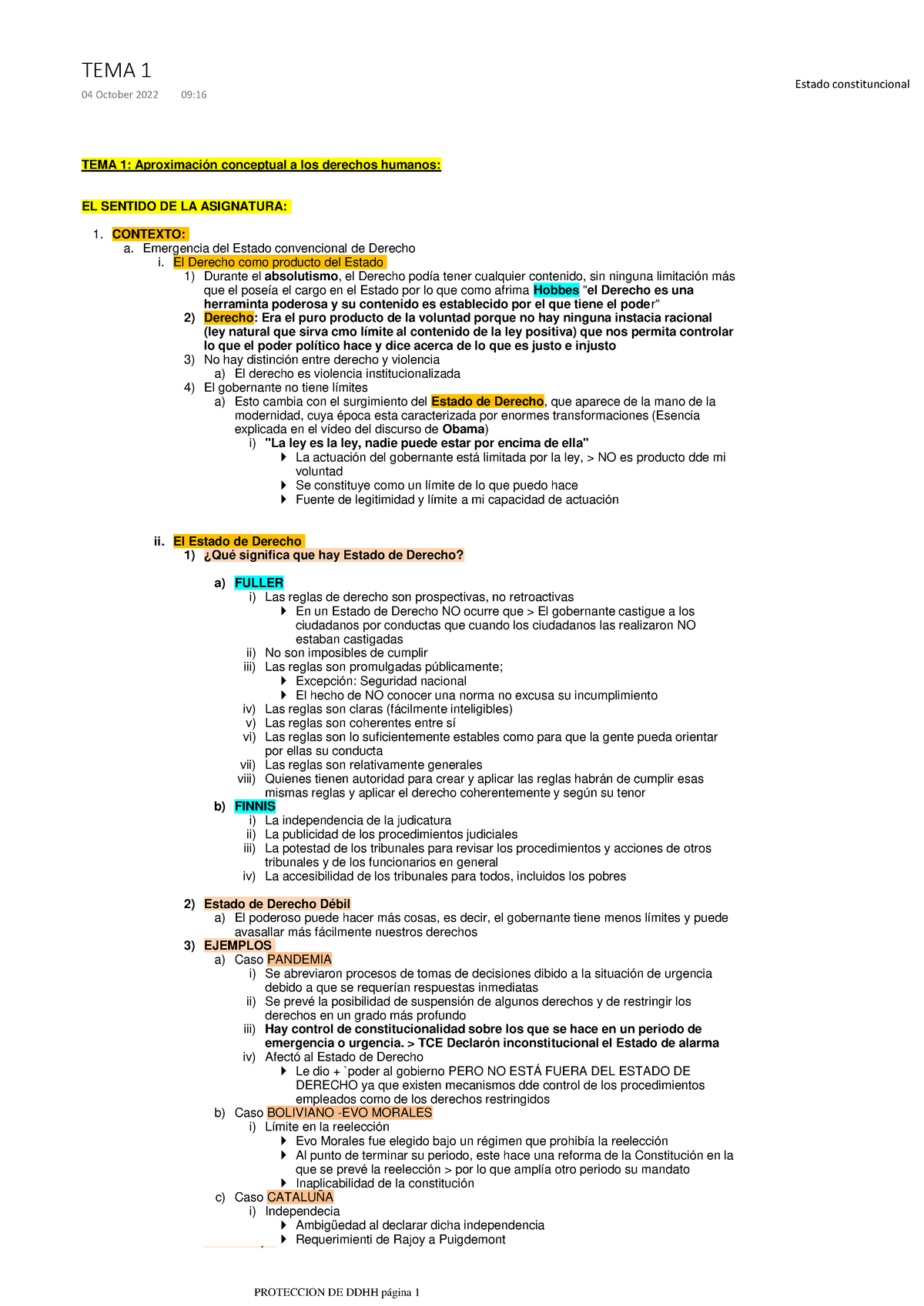 Proteccion DE DDHH Apuntes - TEMA 1: Aproximación Conceptual A Los ...