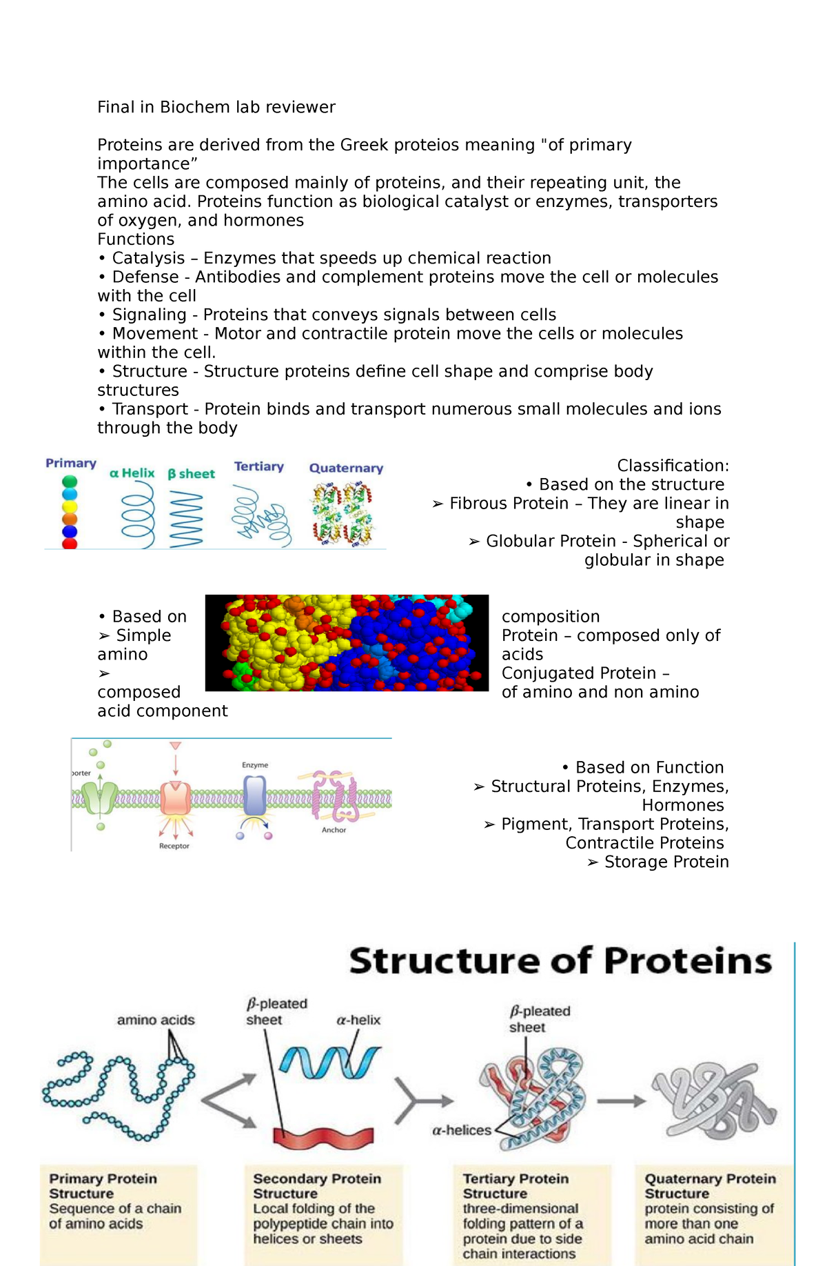 essays in biochem