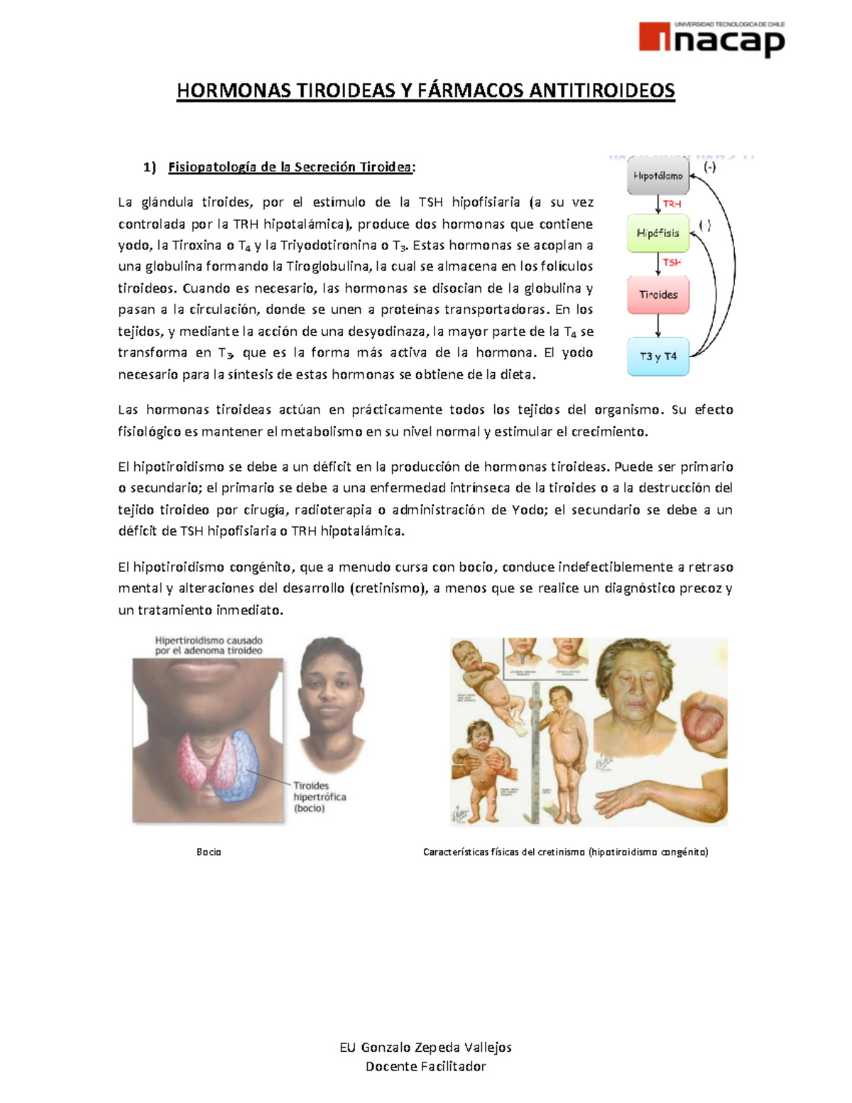Caracteristicas fisicas de la tiroides