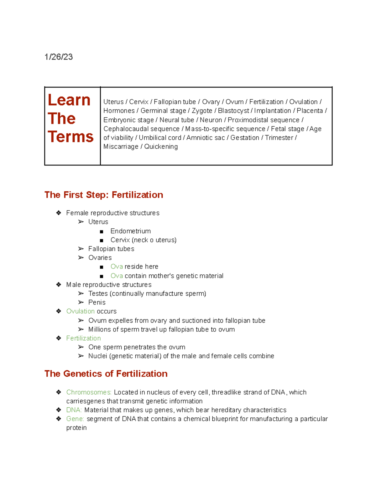 Psy 230 - Prenatal Development, Pregnancy, and Birth. First Step ...