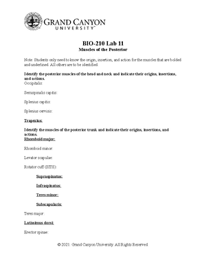 Acetaminophen Chem. Connections - Acetaminophen Bradley Kissinger ...
