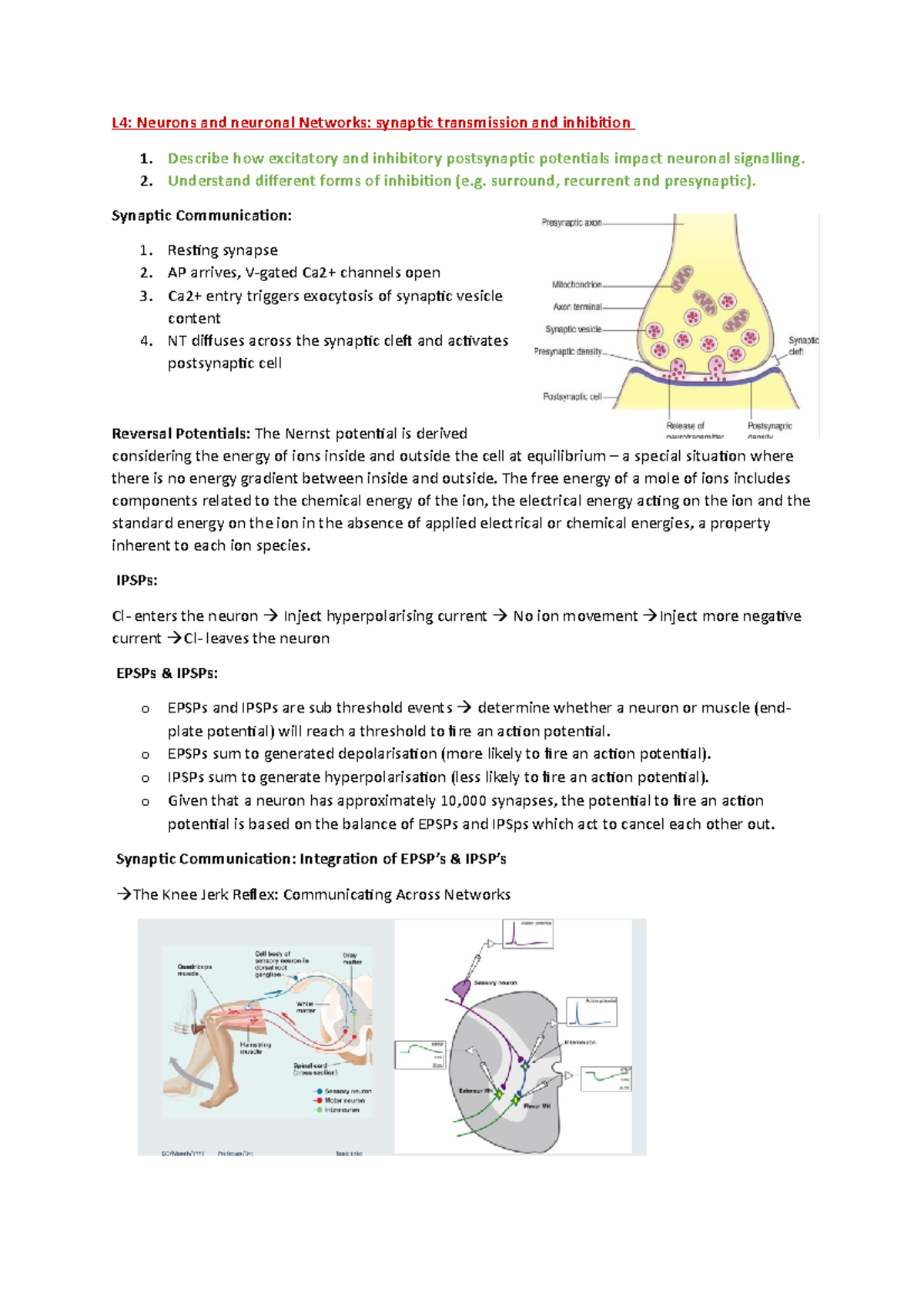 L4.synaptic transmission - L4: Neurons and neuronal Networks: synaptic ...