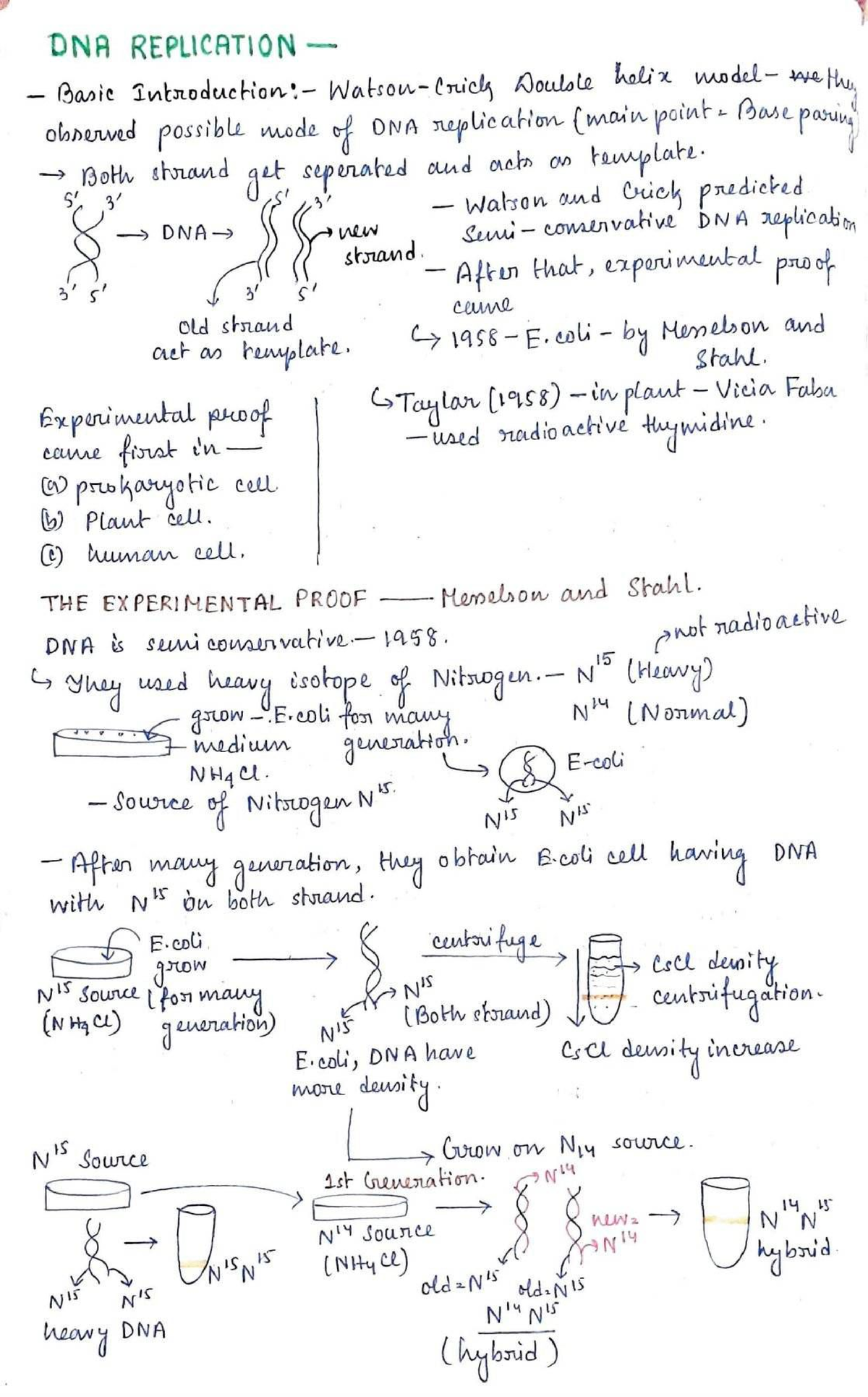 Jpg2pdf (29) - Biology Notes, Includes Summaries And Practice Materials ...