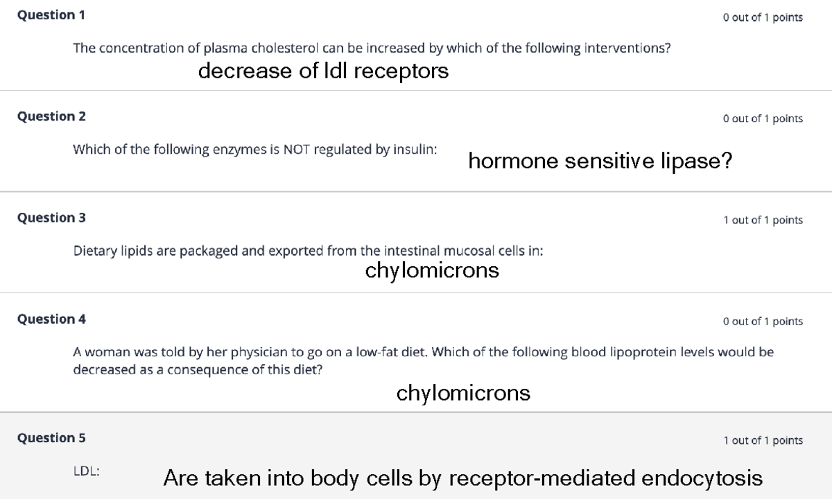 Biochem Final M - Exam Questions - Biochemistry - Studocu