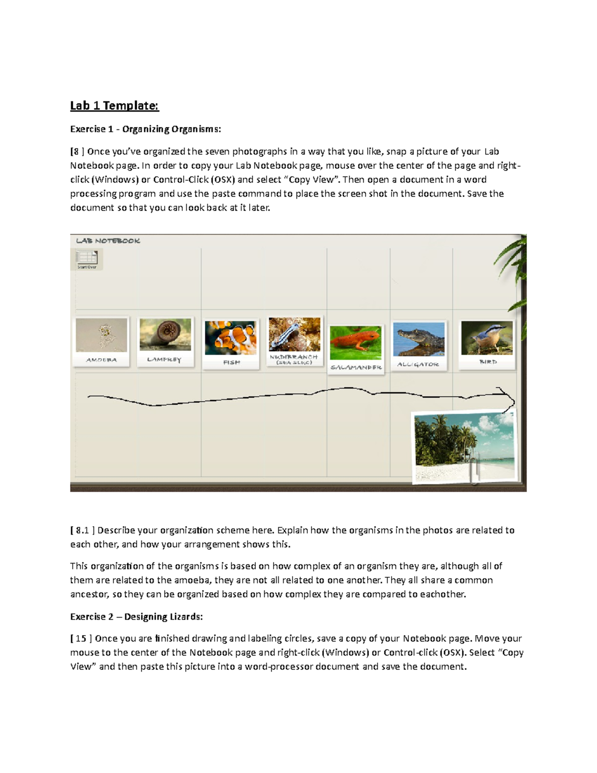 Biol 2104 lab report 1 05 image
