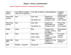 Annotated-Unknown%20Organism%20Report%20-%20 Guidi%20-%20submitted.docx ...
