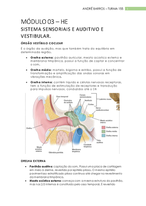 [Solved] Qual O Papel Das Clulas Mioepiteliais - Citologia E Histologia ...