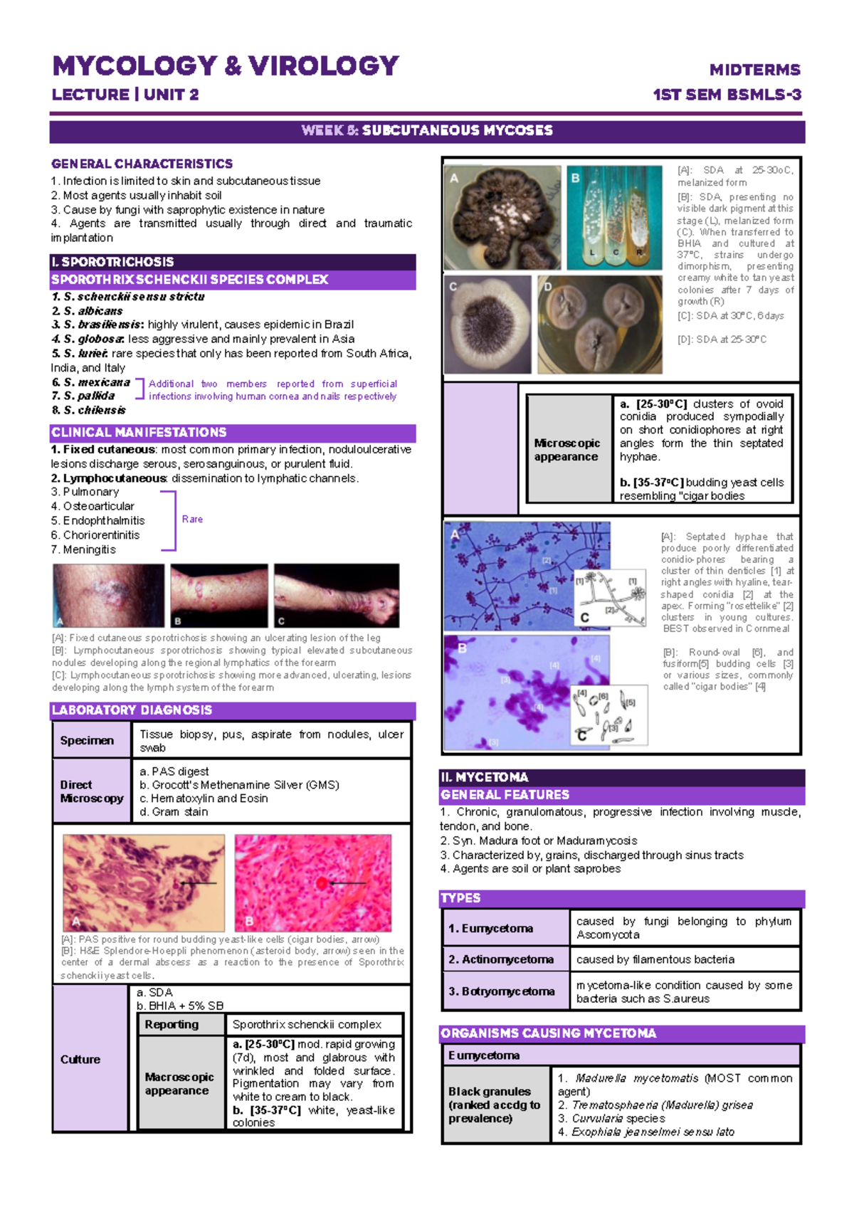 Mycology and Virology - MYCOLOGY & VIROLOGY MIDTERMS LECTURE | UNIT 2 ...