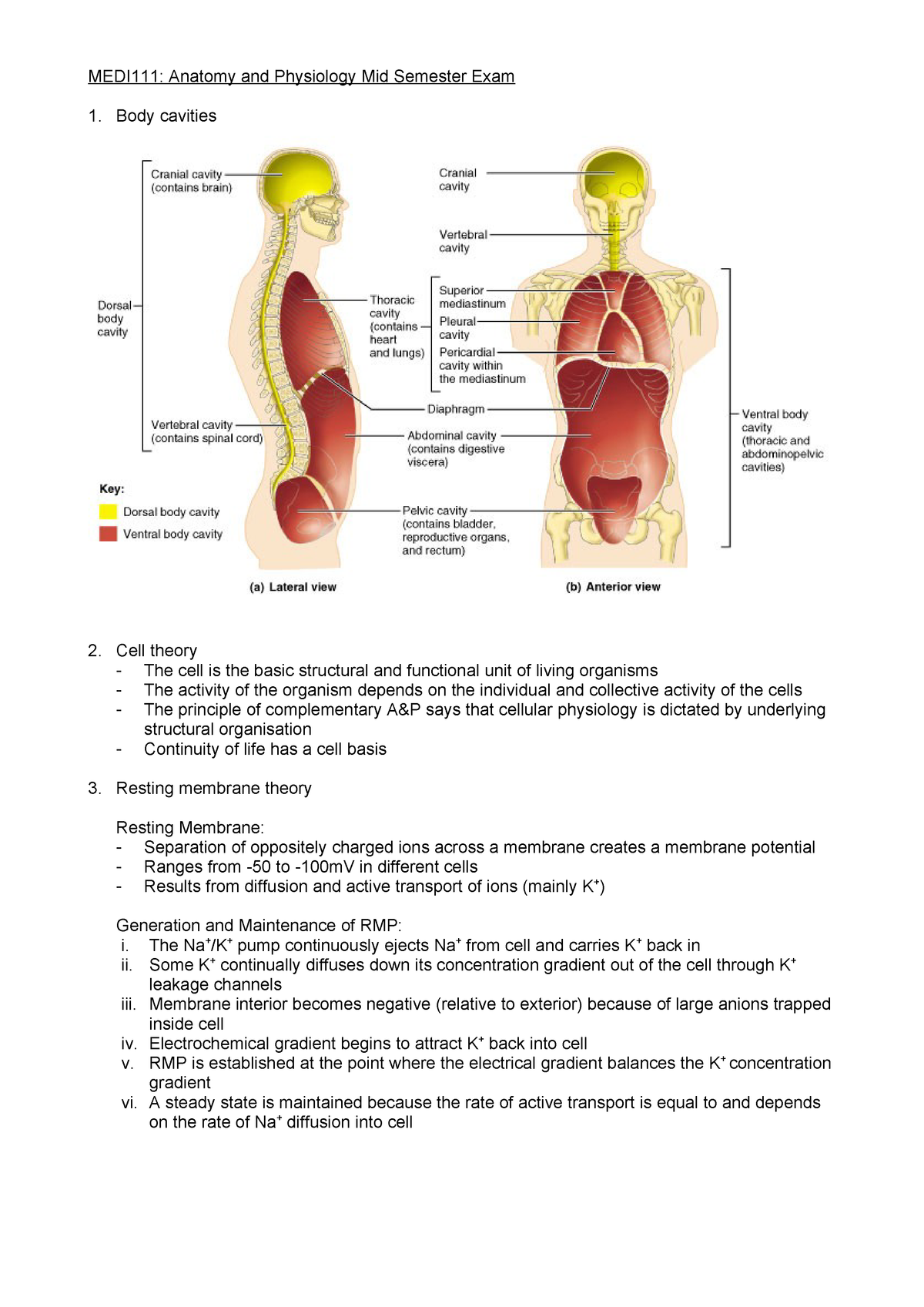 MEDI111 mid semester exam - Anatomy & Phyisology - UOW - StuDocu