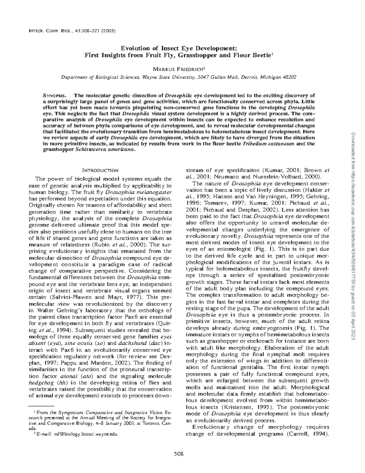 Evolution of Insect Eye Development First Insights from Fruit Fly ...