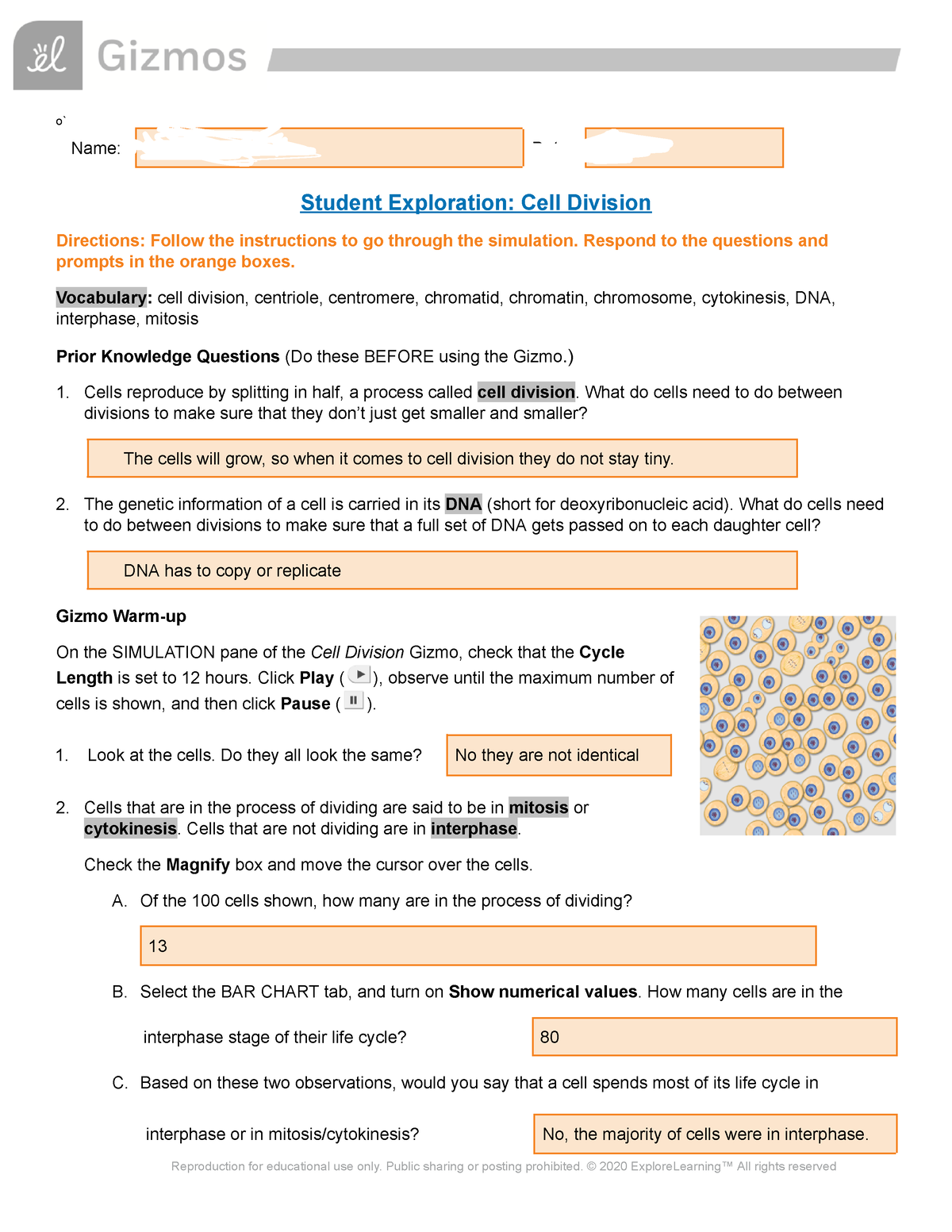 Copy Of Cell Division Gizmo - O` Name: Penelope Mendez Date: 12-1 ...