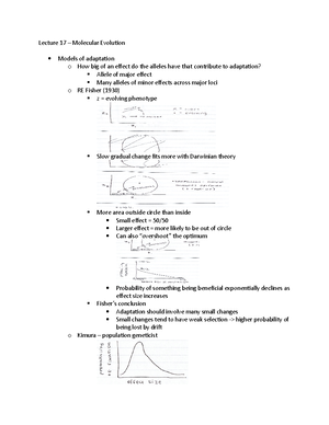 Dendrology Notes - Week 1 Red maple- Aceraceae Acer rubrum - Opposite ...