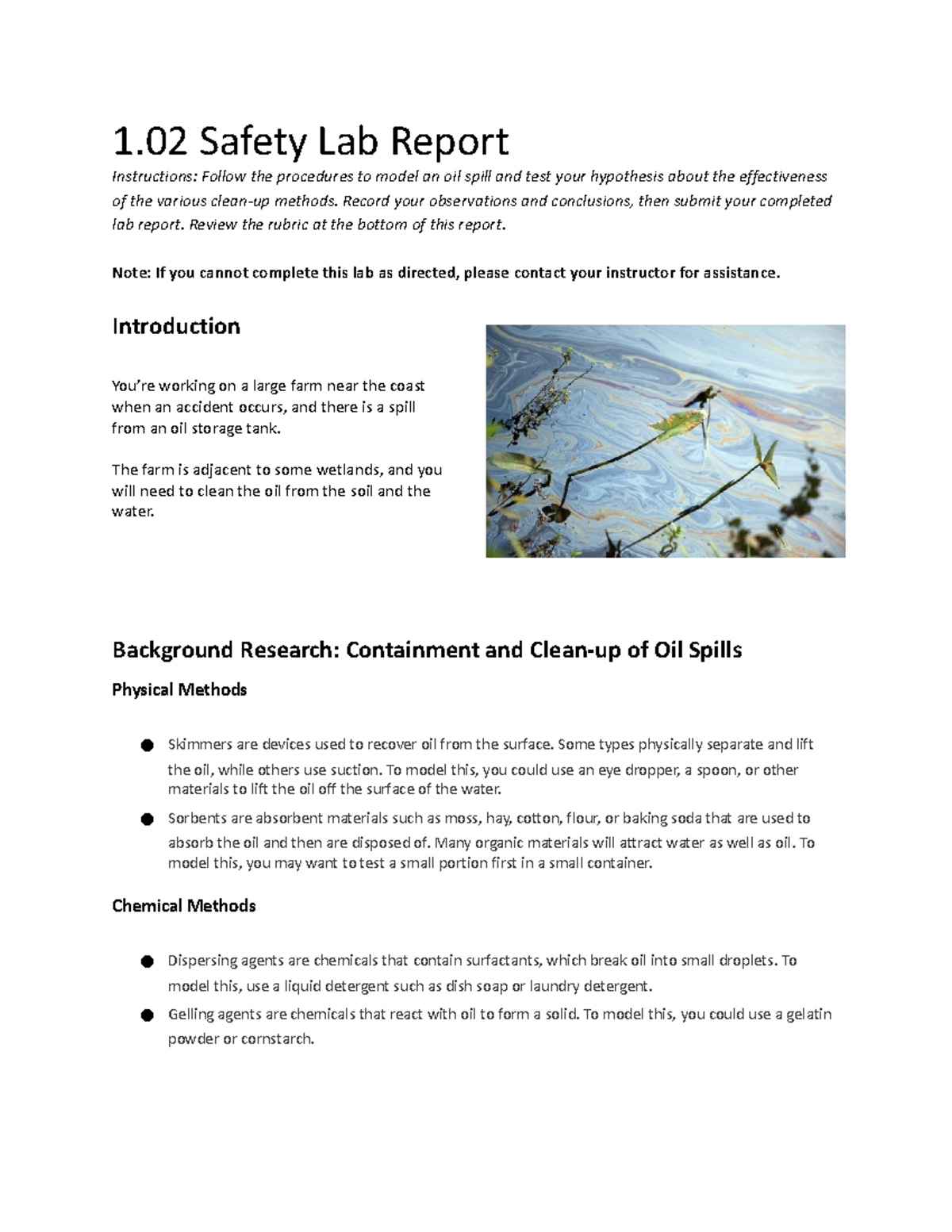 Copy of 1 02 Safety Lab Report 1 Safety Lab Report Instructions