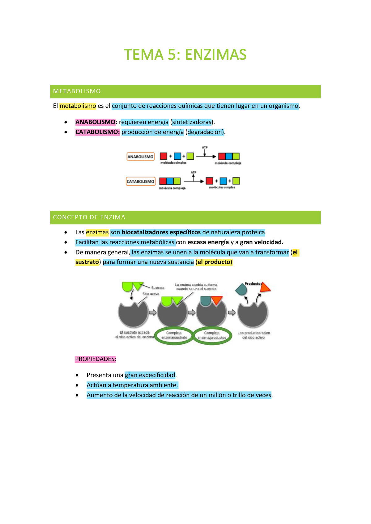 Tema 5. Enzimas - Apuntes De Fundamentos Biológicos - TEMA 5 : ENZIMAS ...