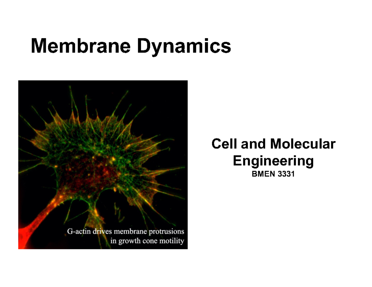 05 Membrane Dynamics chapter 5 DD - Cell and Molecular Engineering BMEN ...
