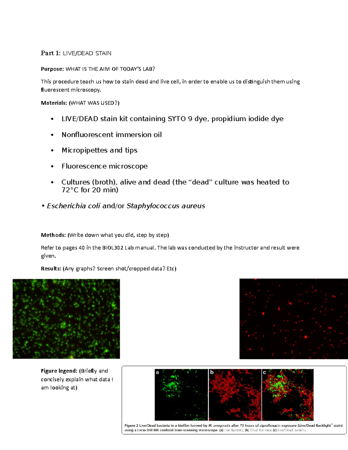 Livedead Stain - Part 1: LIVE/DEAD STAIN Purpose : WHAT IS THE AIM OF ...