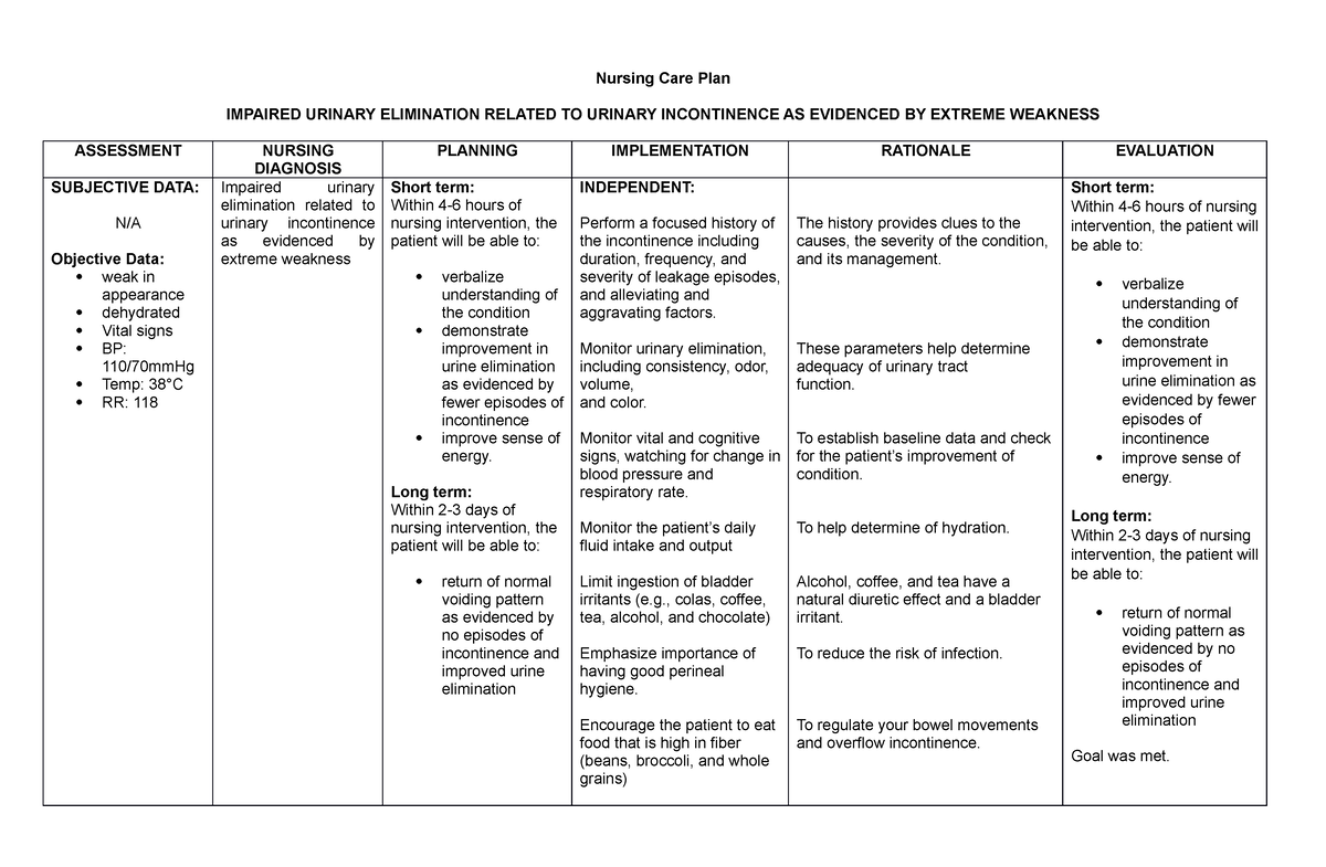 Impaired Urinary Elimination A Nursing Care Plan Nursing Care Plan 