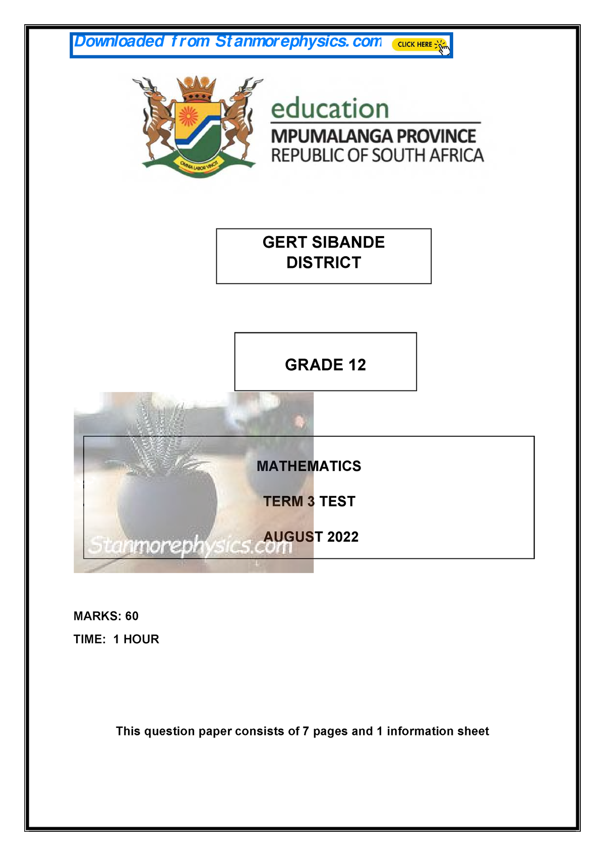 grade 8 maths assignment term 1 memorandum 2023